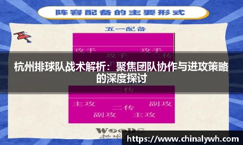 杭州排球队战术解析：聚焦团队协作与进攻策略的深度探讨