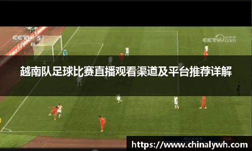 bsports官网