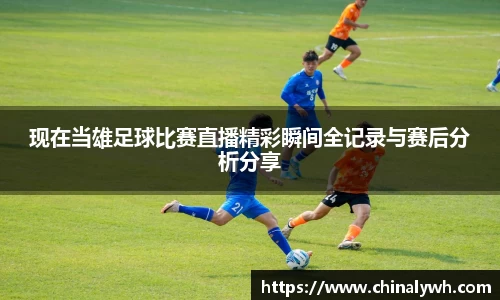 bsports必一体育